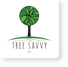 Tree Savvy LLC